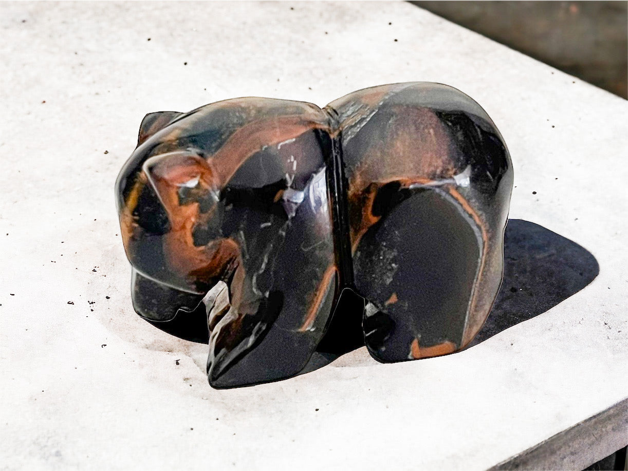 Tigers Eye Polished Bear 4cm