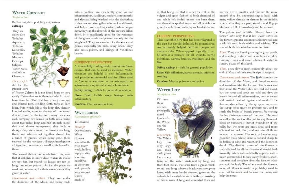 Culpeper's Complete Herbal - Dr JJ Pursell