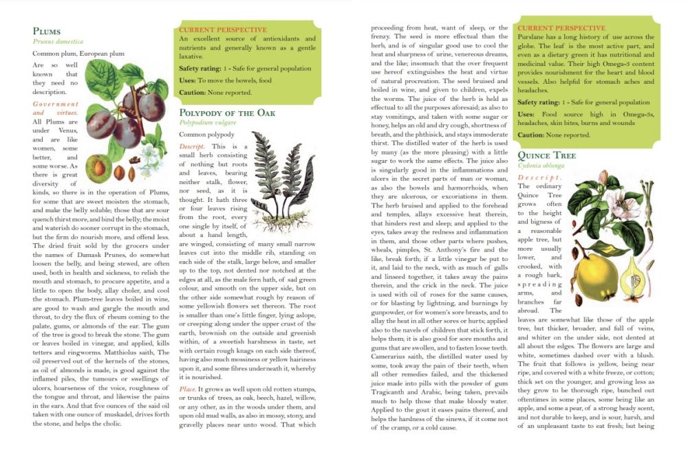 Culpeper's Complete Herbal - Dr JJ Pursell