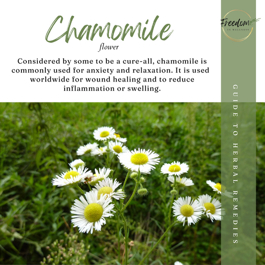 Chamomile (Matricaria chamomilla) Tips & Tricks