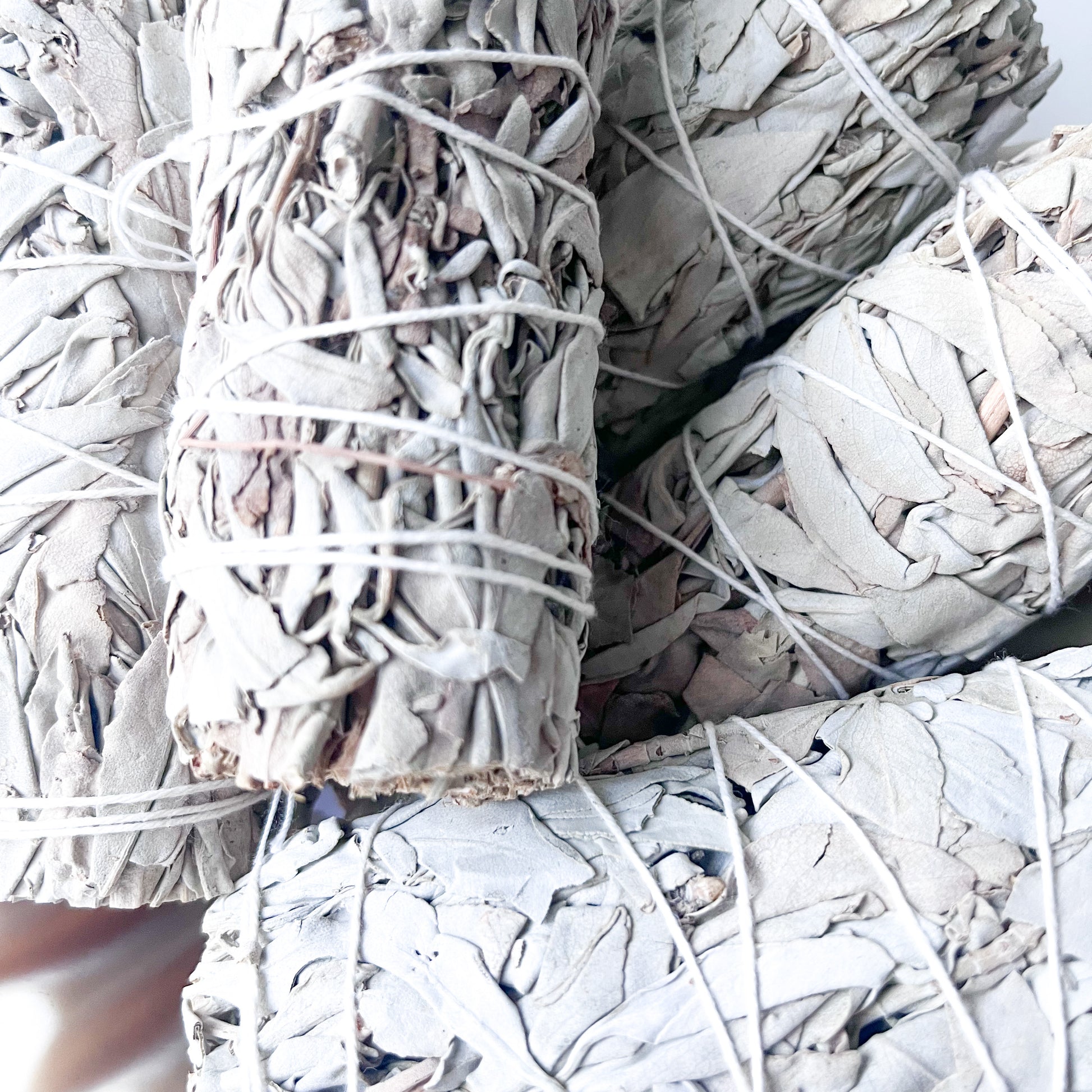 Smudge Stick - White Sage Bundle Close Up