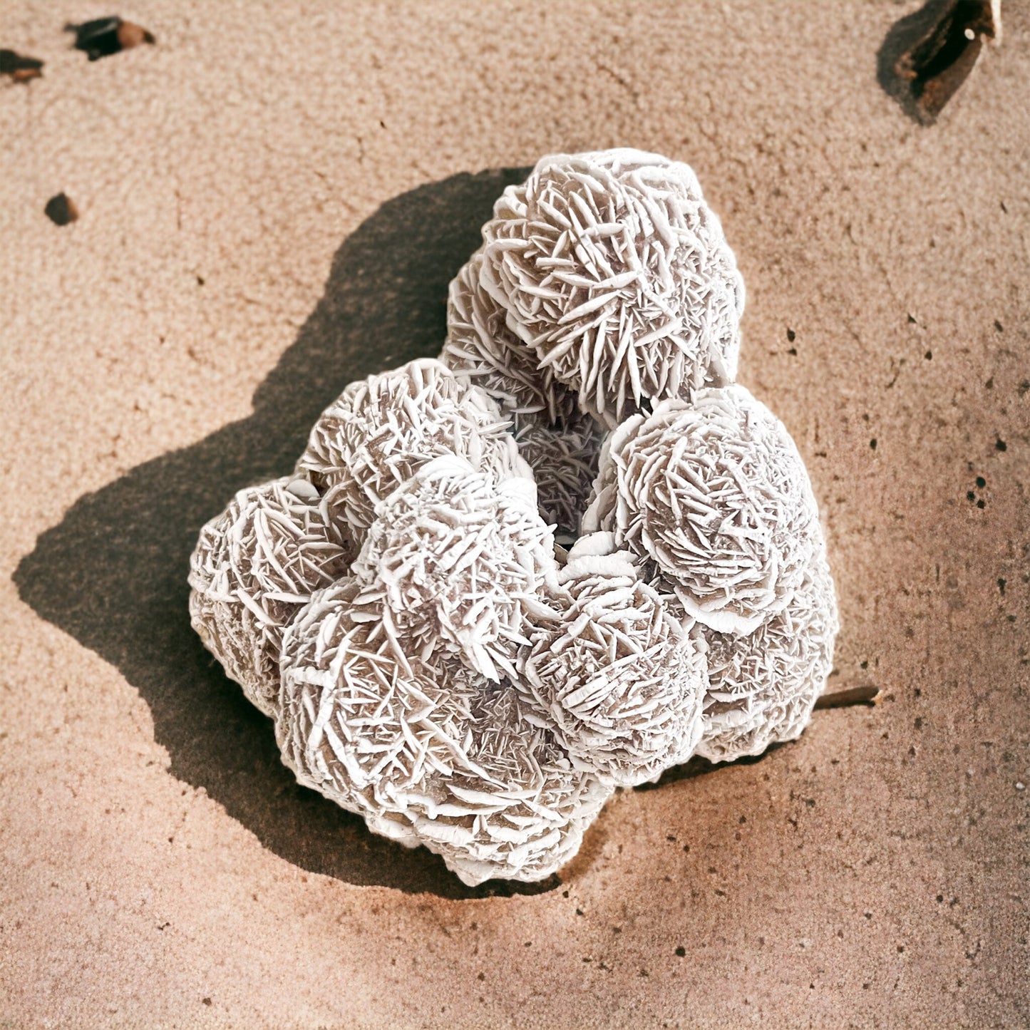 Desert Rose Cluster