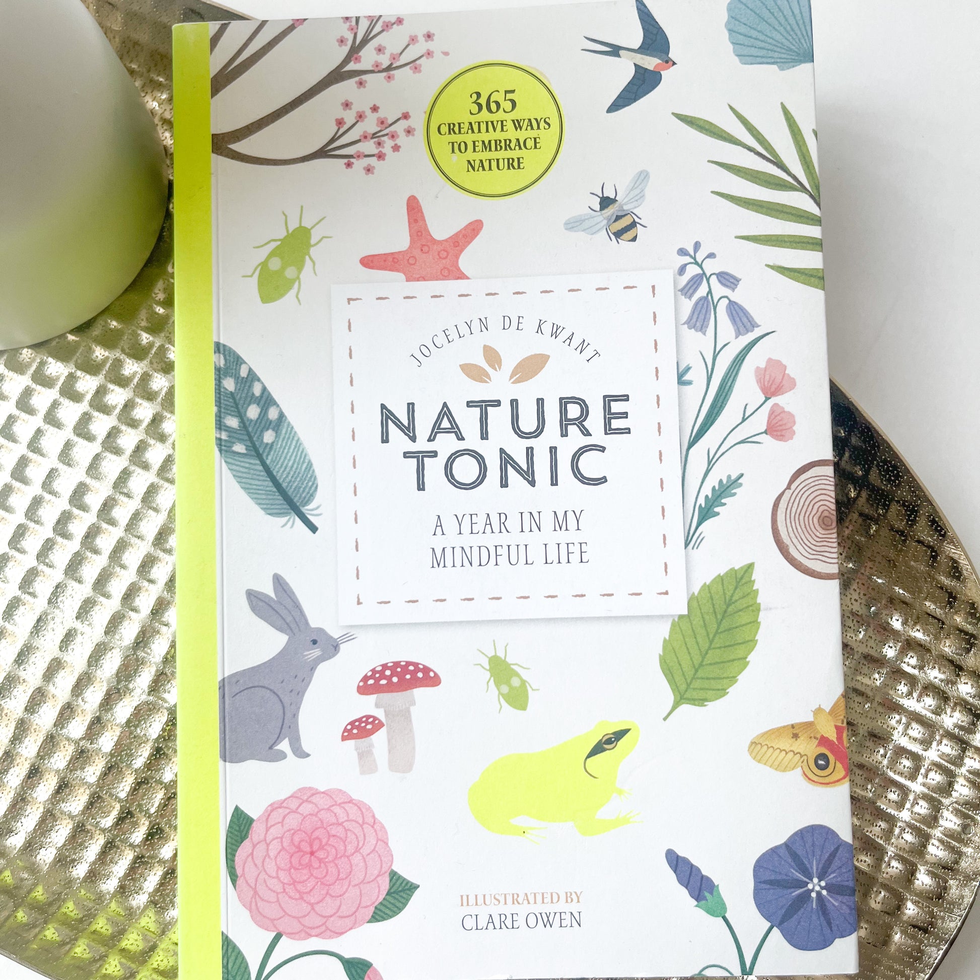 Nature Tonic A Year In My Mindful Life - Jocelyn De Kwant