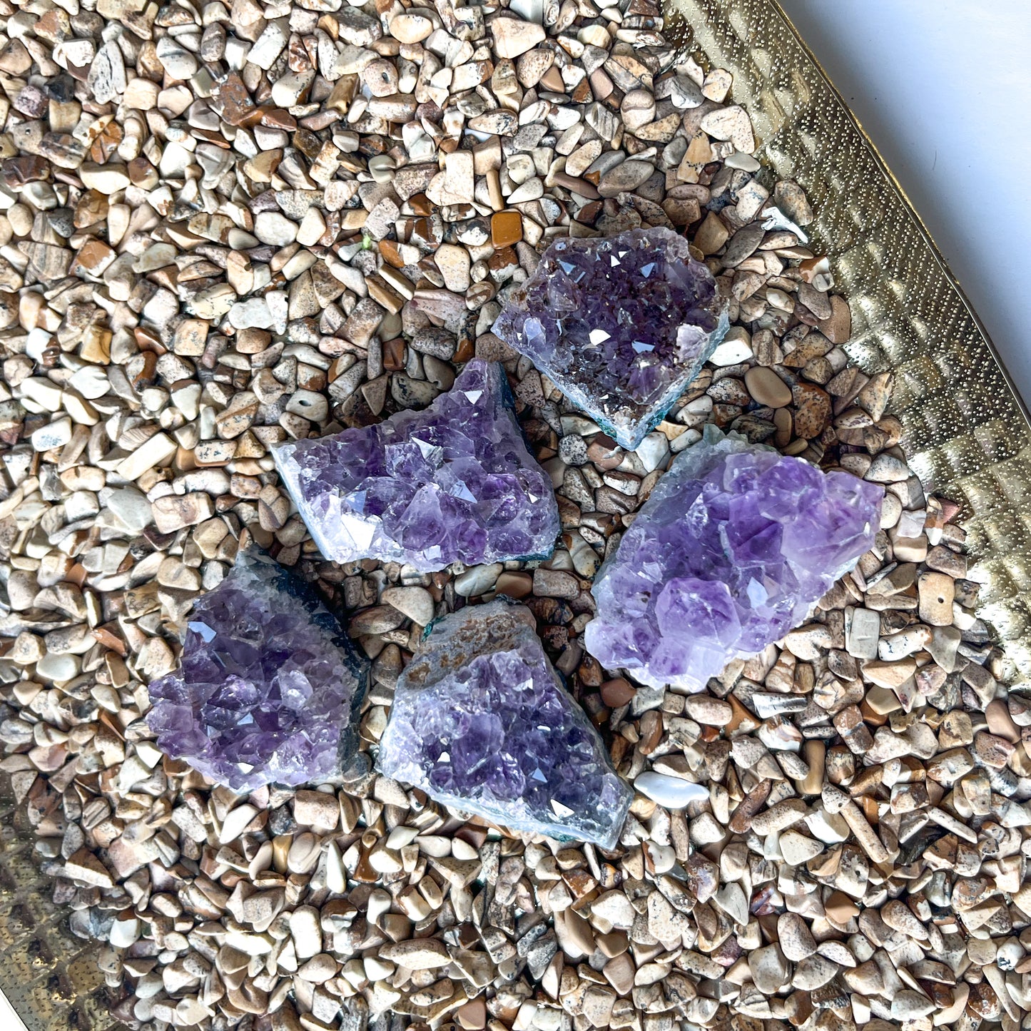 Fossils Amethyst Cluster 