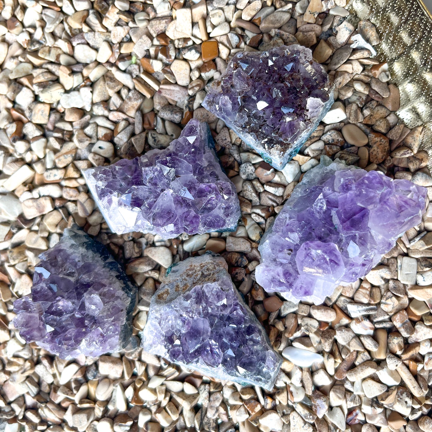 Fossils Amethyst Cluster 